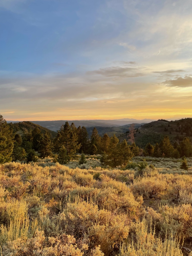 Confidence navigating emotions and communication