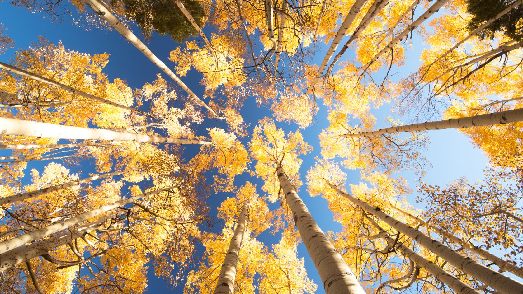 Tangible progress where you've felt stuck before