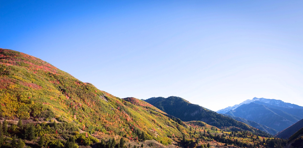 Begin your family's healing journey