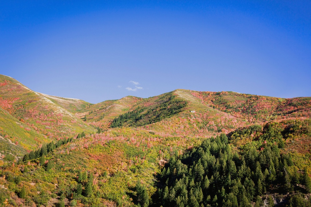 Psychodrama therapy session