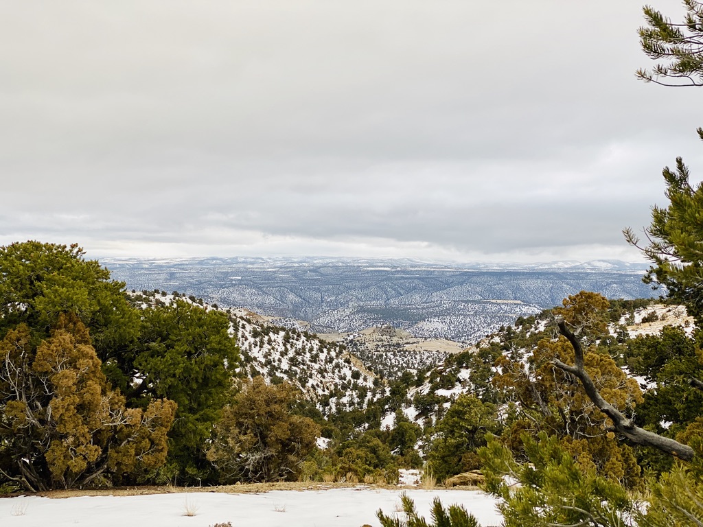 Winter canyon view